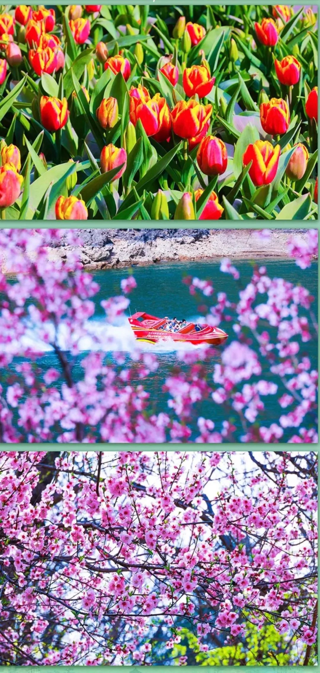 郑州方特半价免票,免票公告