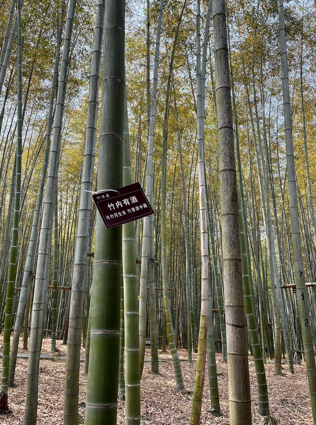 宜兴旅游陶祖圣境,宜兴玉女潭游览图