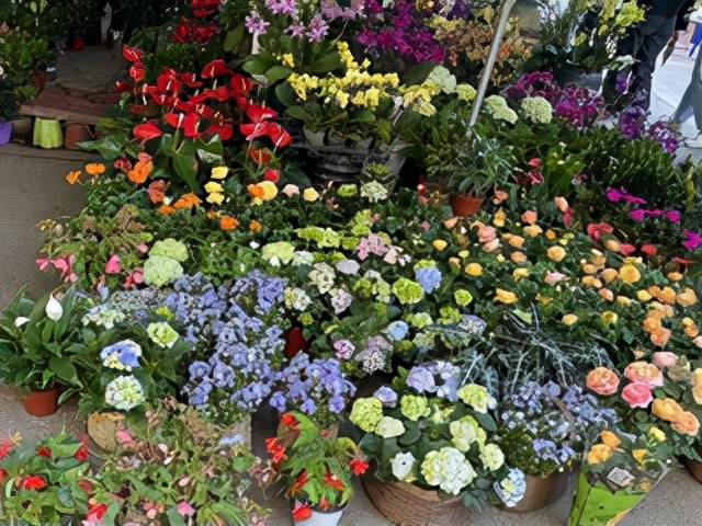 昆明一座让人流连忘返的城市,被低估的旅游城市昆明