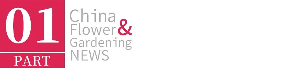 实体零售业“寒冬”过后，2023花园中心的新机会在哪里？