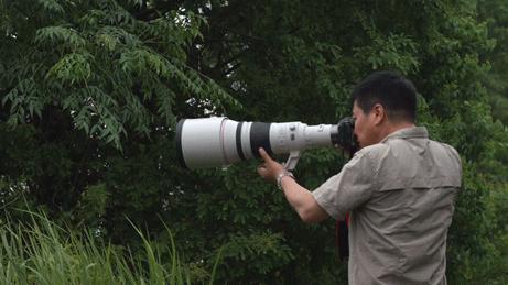 佳能rf800mmf5.6价格,佳能rf800mmf5.6定焦镜头能拍多远