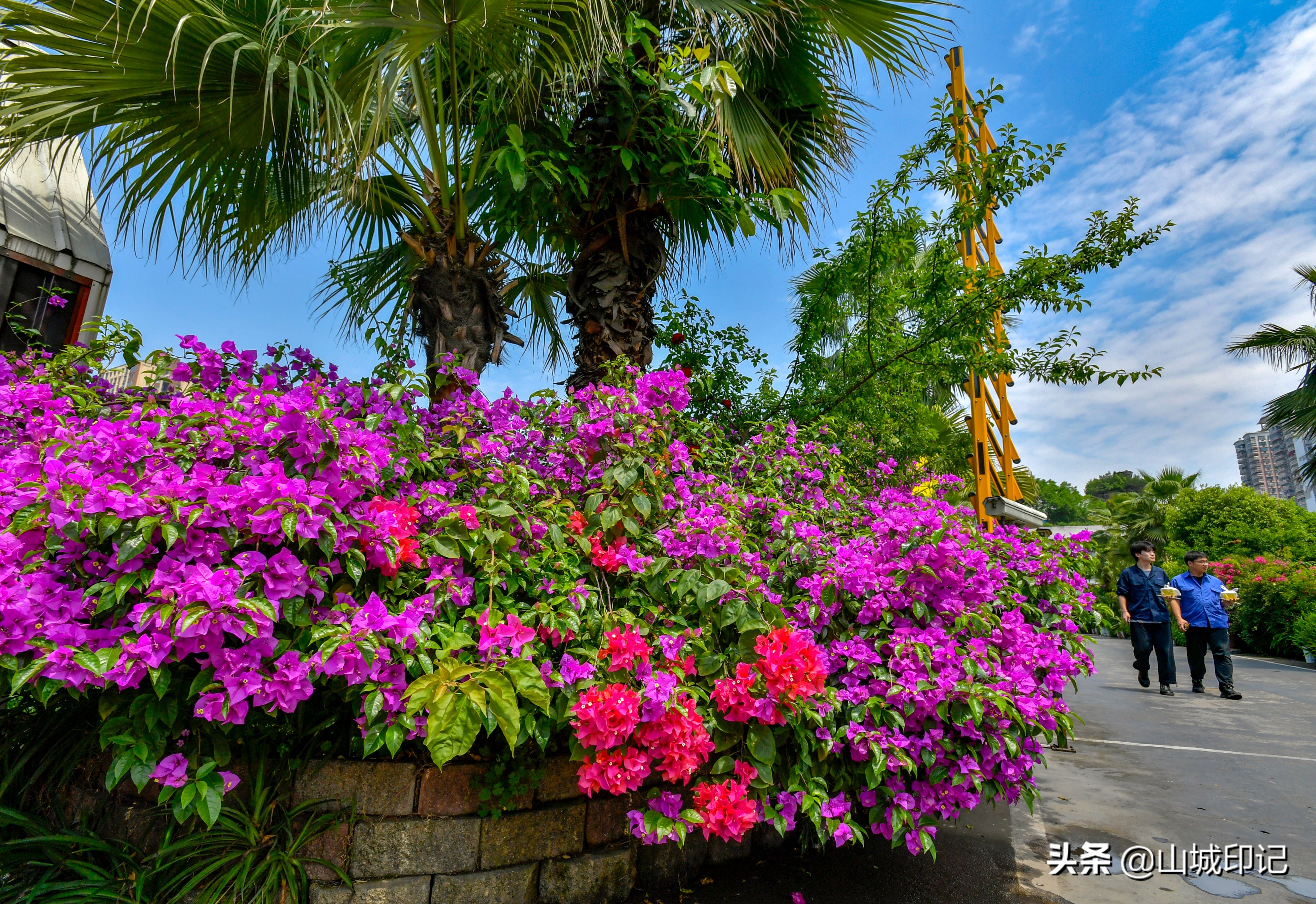 閲嶅簡鍙弬瑙傜殑宸ヤ笟鍥尯,澶編浜嗗揩鏉ラ噸搴嗘墦鍗″惂