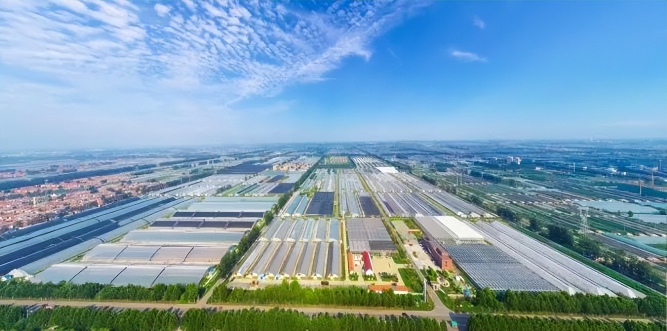 潍坊为什么叫潍坊,为什么潍坊这么出名