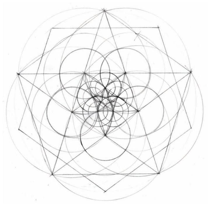 几何之花2：圆的内部分裂