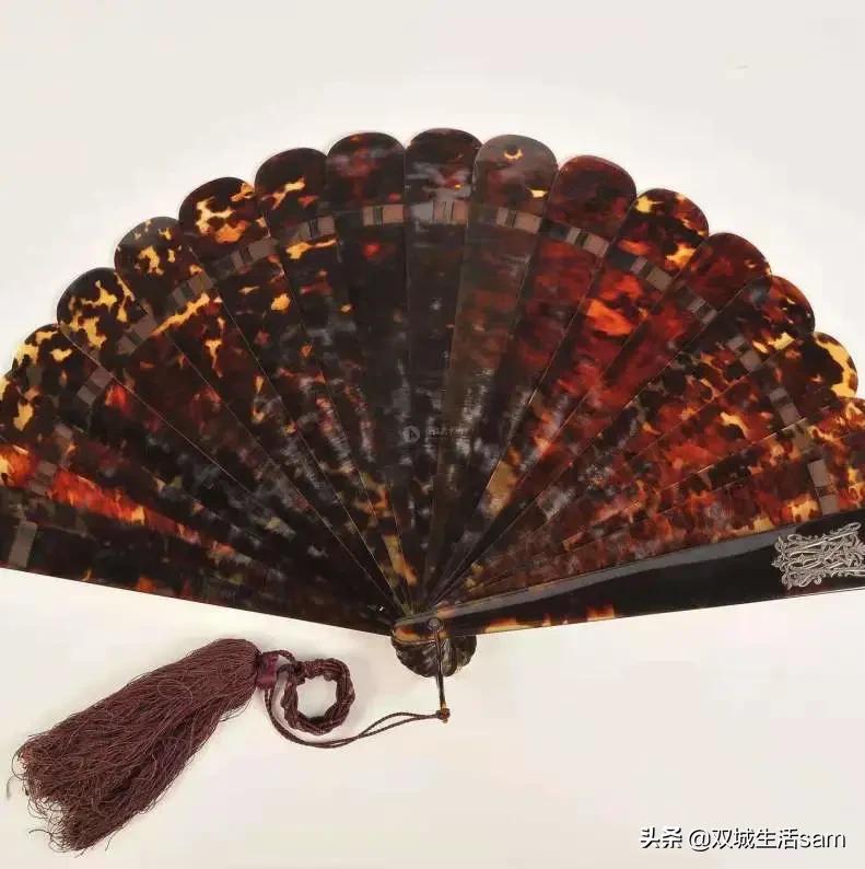 玳瑁为什么又是猫又是龟,玳瑁猫为啥叫玳瑁