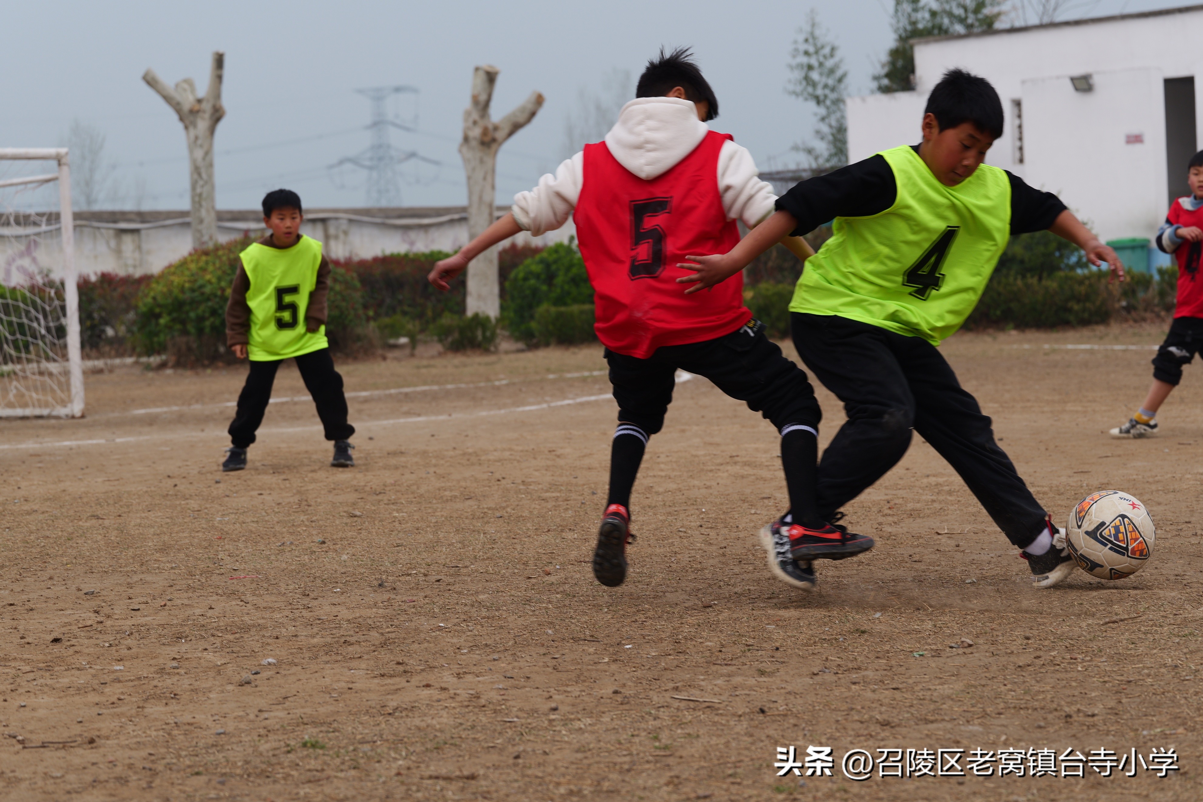 召陵区台寺小学,漯河市老窝镇台寺小学