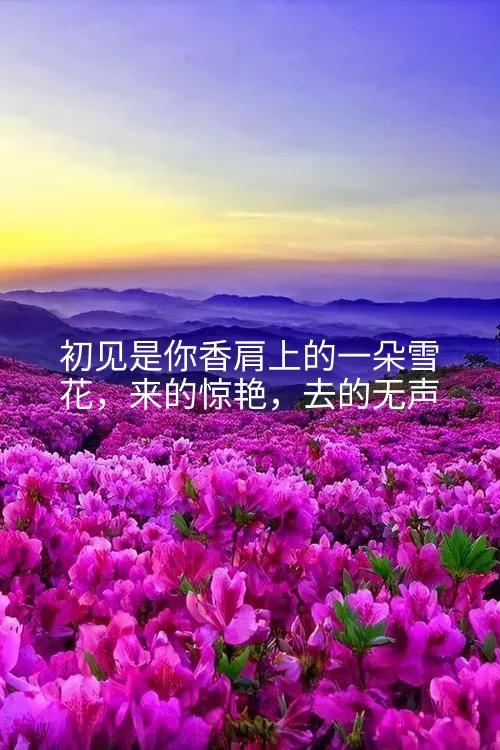 人生最美初见纯音乐,人生最美是初见