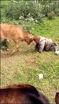 无意间看到弟弟浏览记录怎么办,刚看到弟弟的聊天记录怎么办