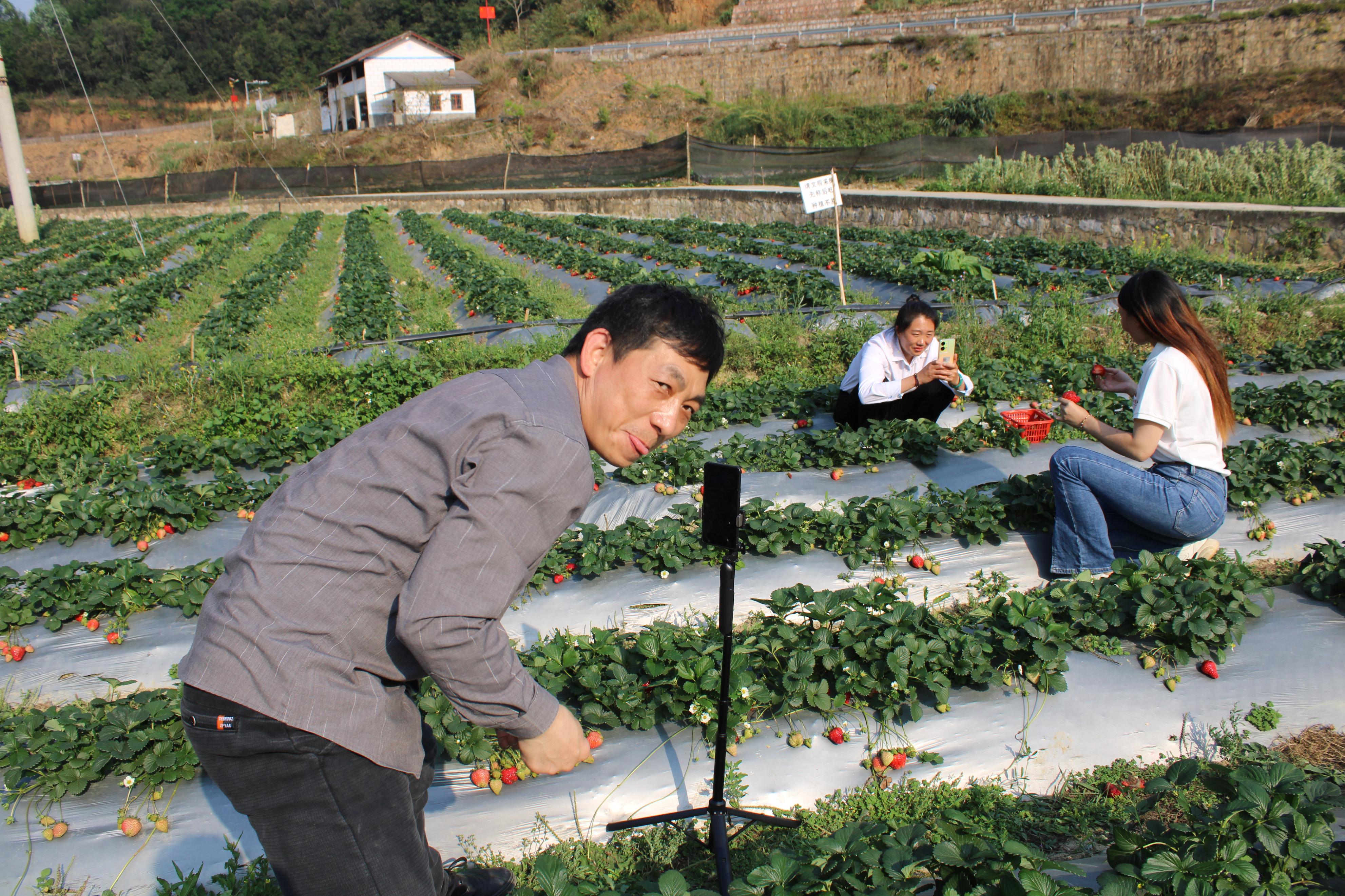 麻栗坡县电商示范县项目工作汇报2023年3月