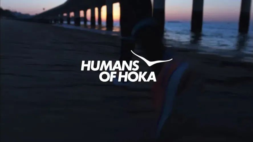 从阿尔卑斯山脉滑雪下来,从阿尔卑斯山飞下去