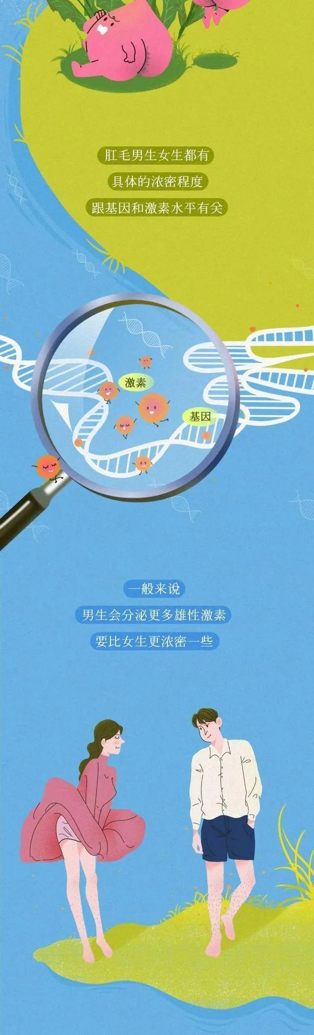 为什么肛门周围也会长“毛”？如果刮掉会怎样？网友：看完明白了