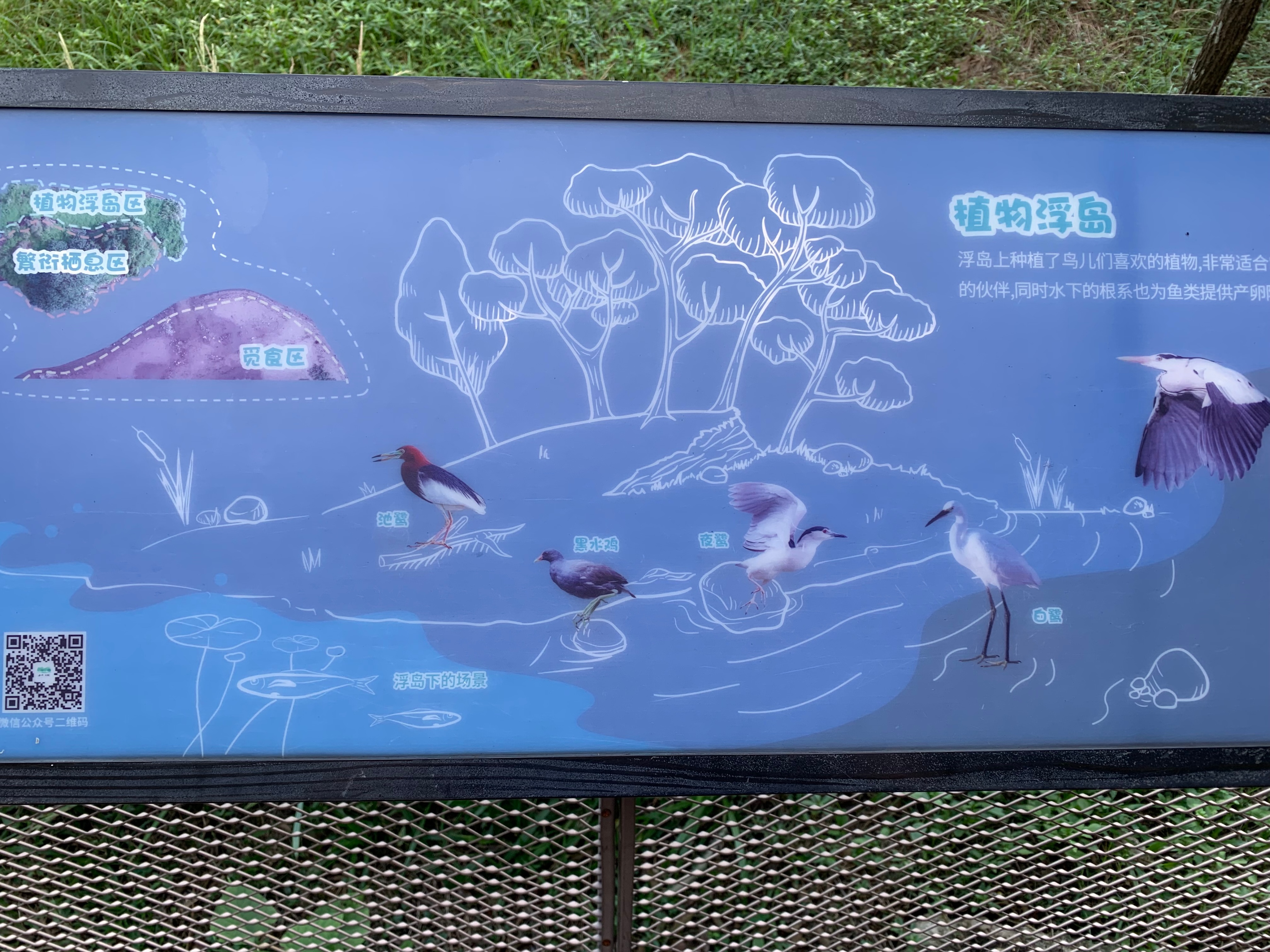 2022海珠湖公园春节游玩,海珠湖湿地公园最佳游玩时间