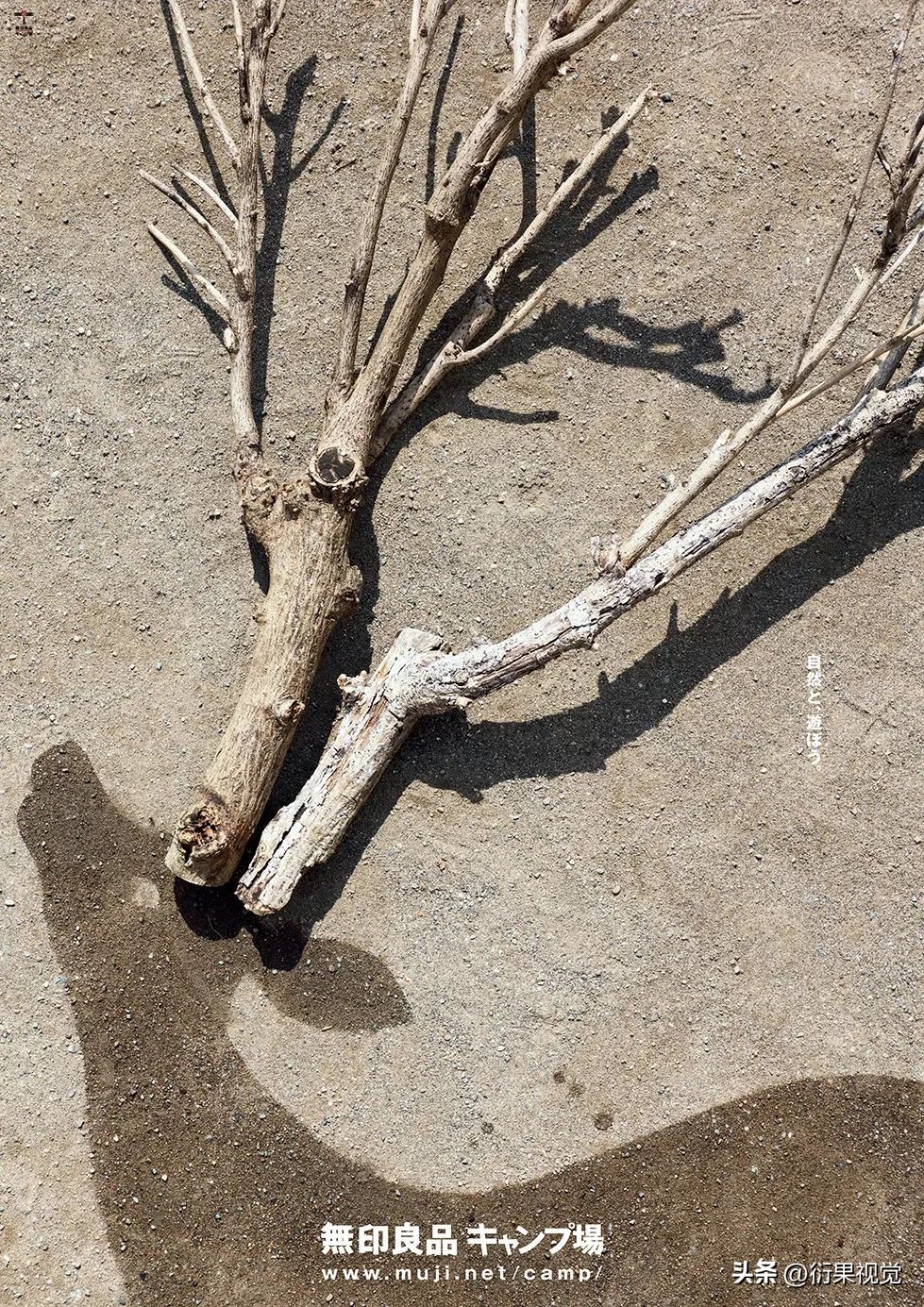 十大催人泪下的海报,2024年最新海报