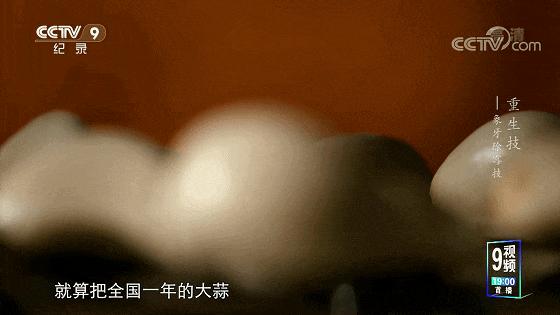 一口气八集!拿命换来的燃,果然是央视良心