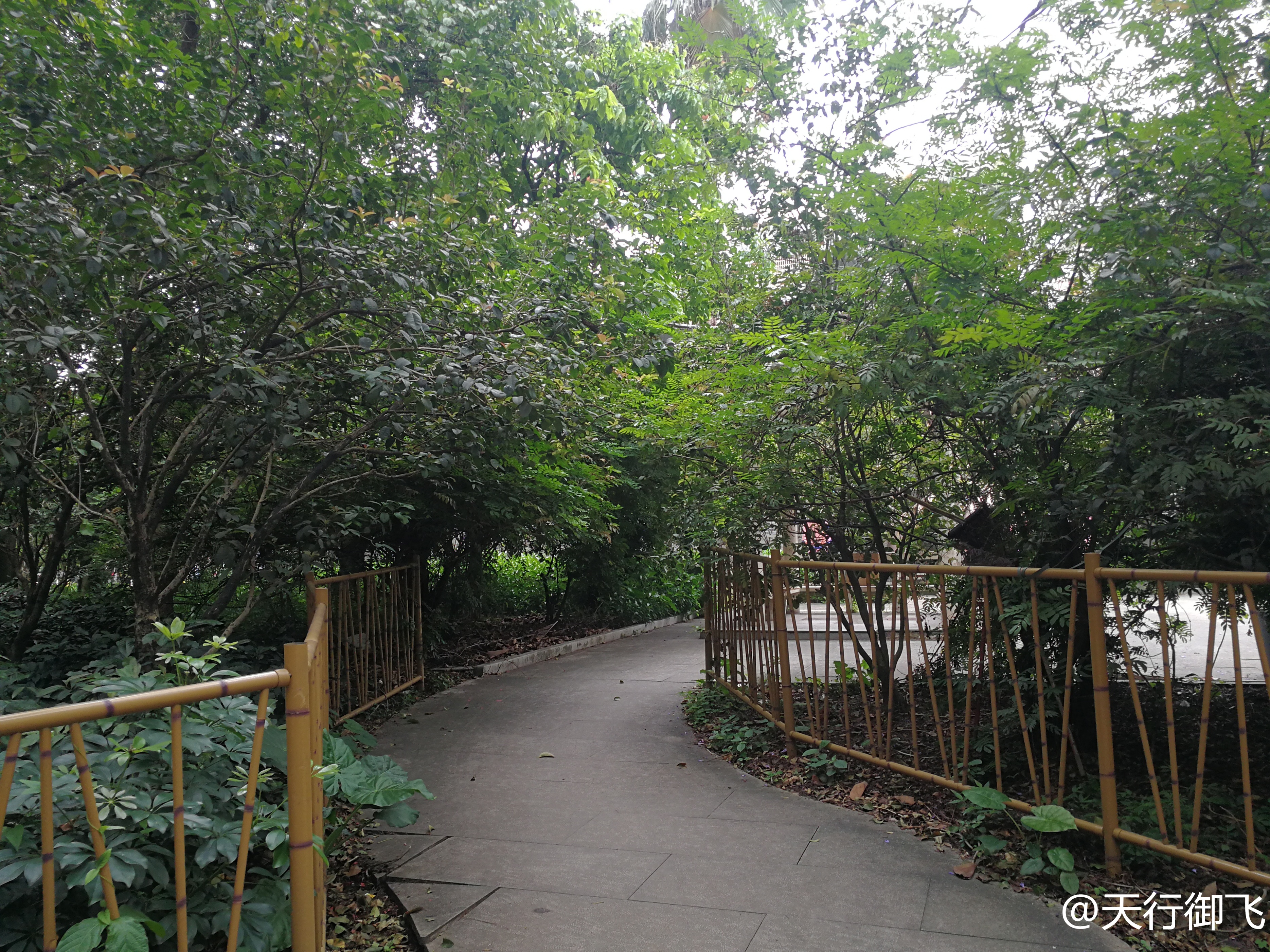 小洲村旅游景点地图,小洲村一日游最佳攻略