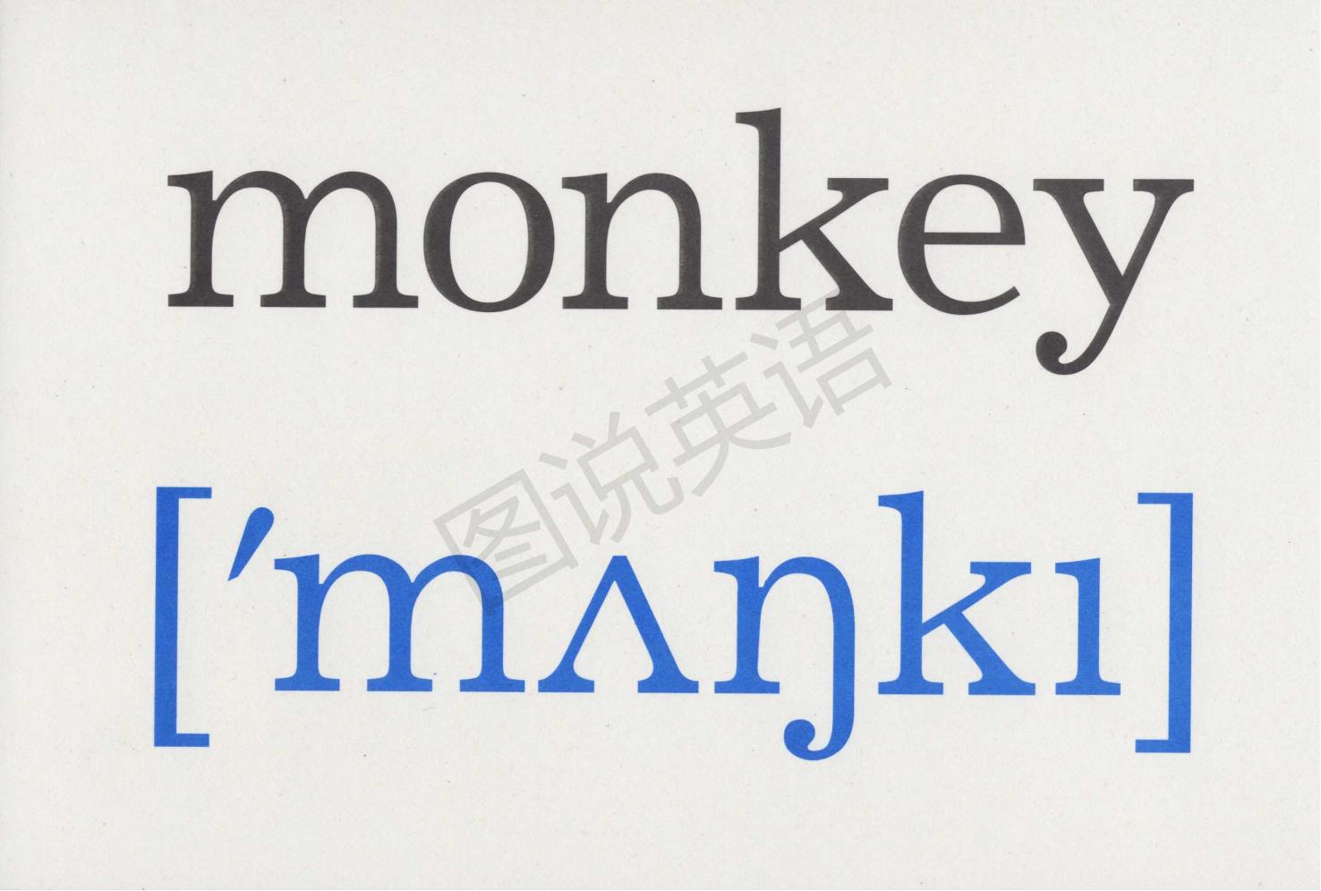 英语国际音标教程实用卡片图,音标卡单词卡