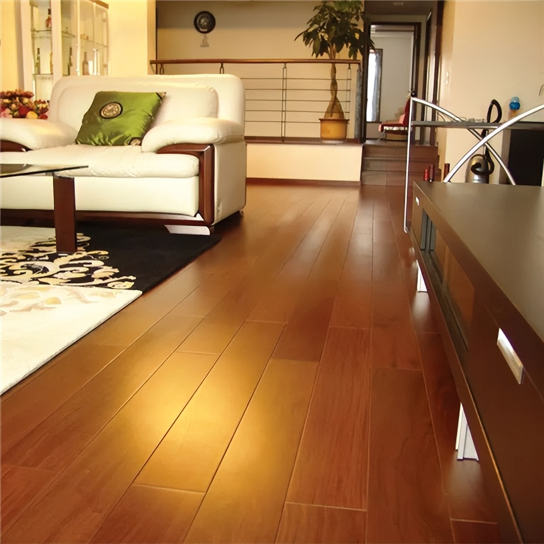 因“材”际会，安信地板与南美巴西的不解之缘