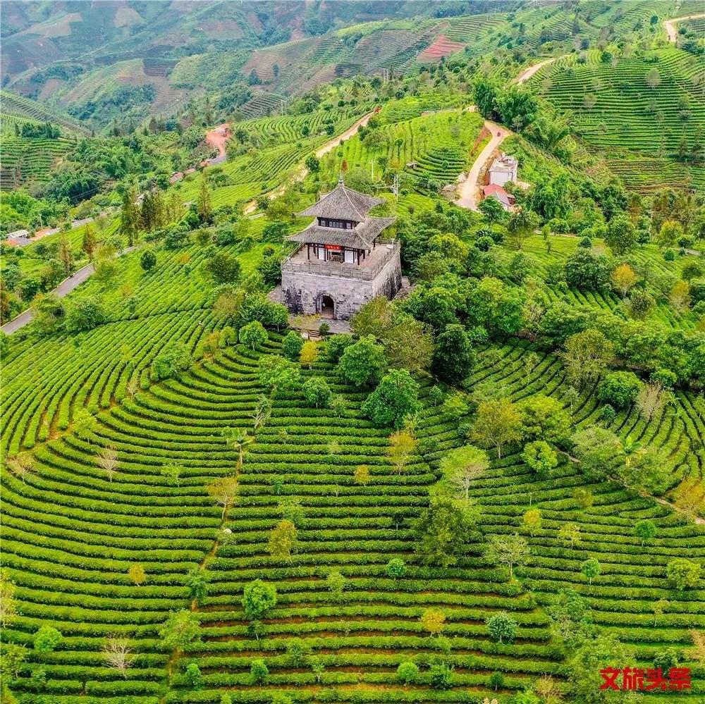 最被低估的大城市,被低估的普洱