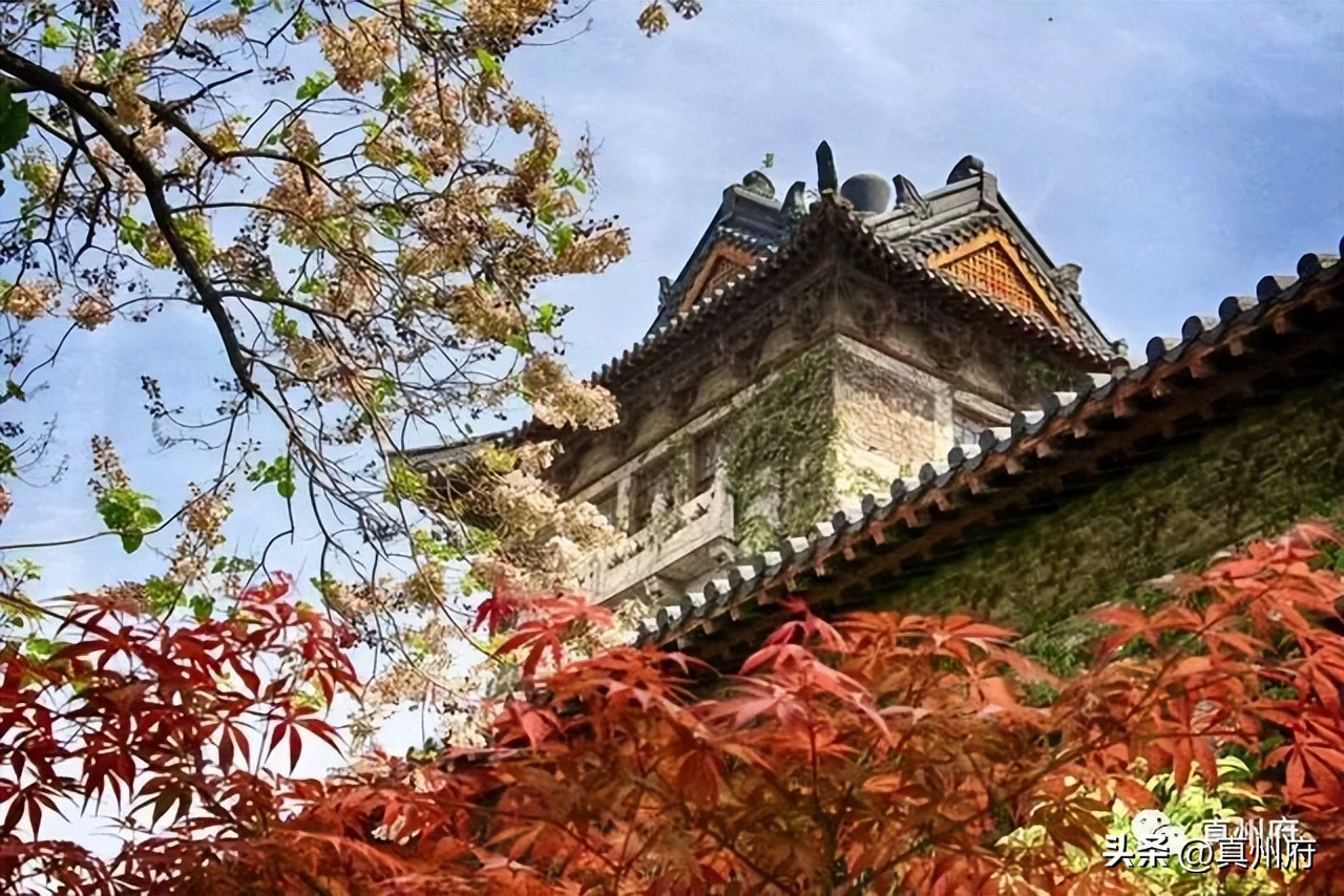 仪征一电商团伙被团灭!