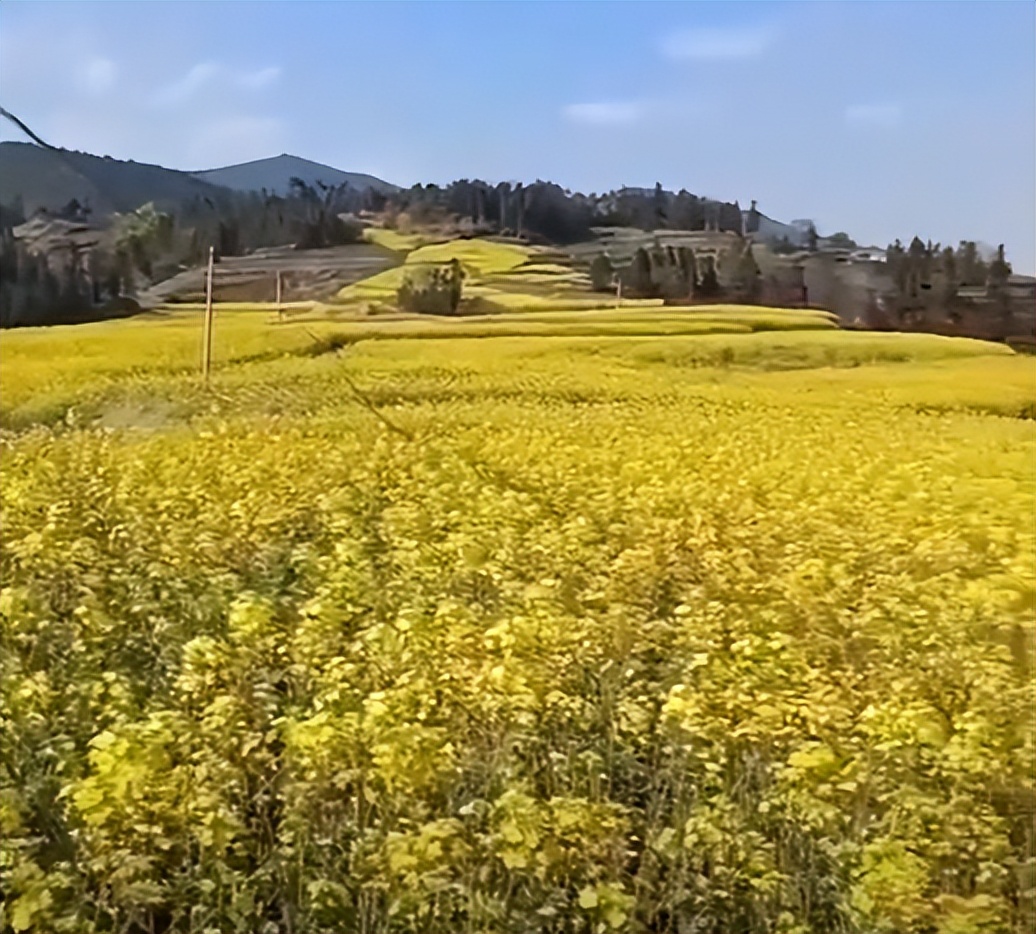 雷击致死事件,雷击致人死亡事件