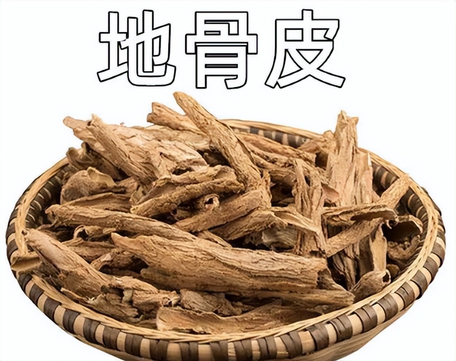 一味地骨皮泡水喝的功效,地骨皮的功效秘方