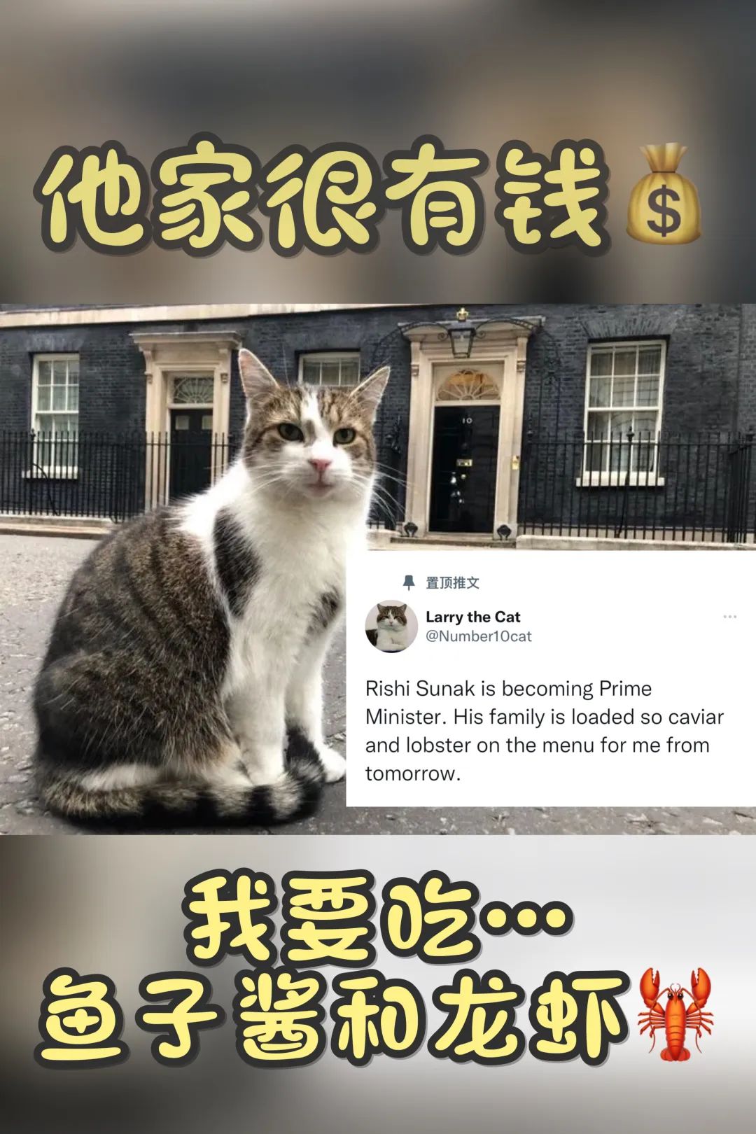 鍗板害鍙嶅悜娈栨皯鑻卞浗,鍗板害鍊熷３涓婂競