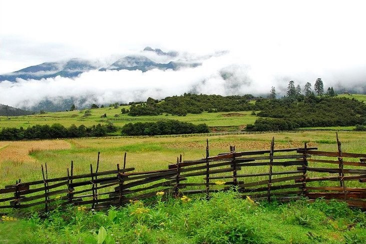 为什么会禁止三轮车搭客,农民注意这4种东西被严查
