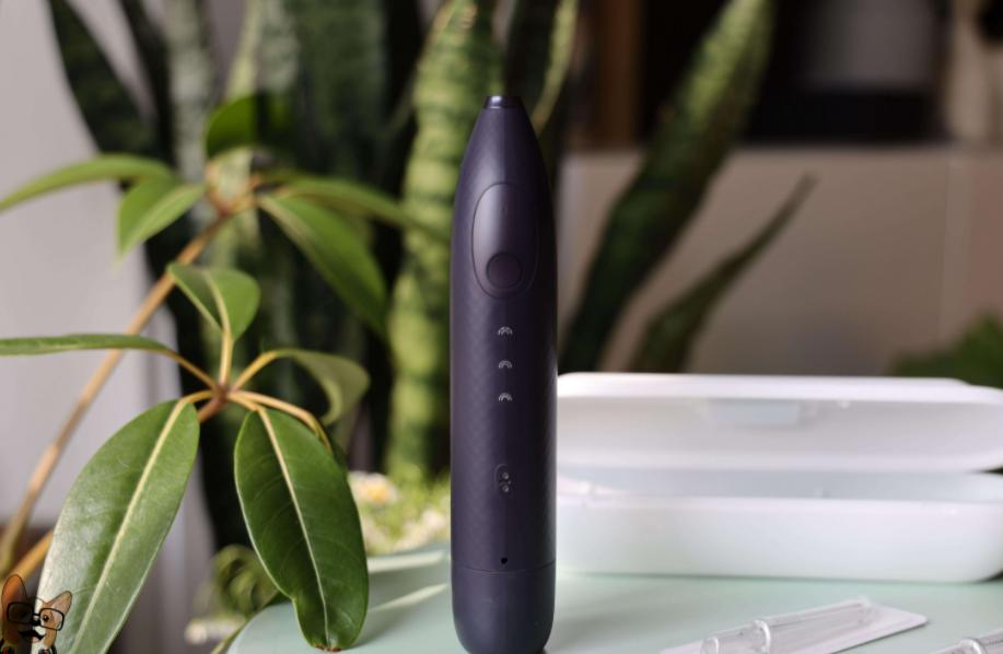 双十一送情侣夫妻礼物推荐！这些冲牙器寓意爆火