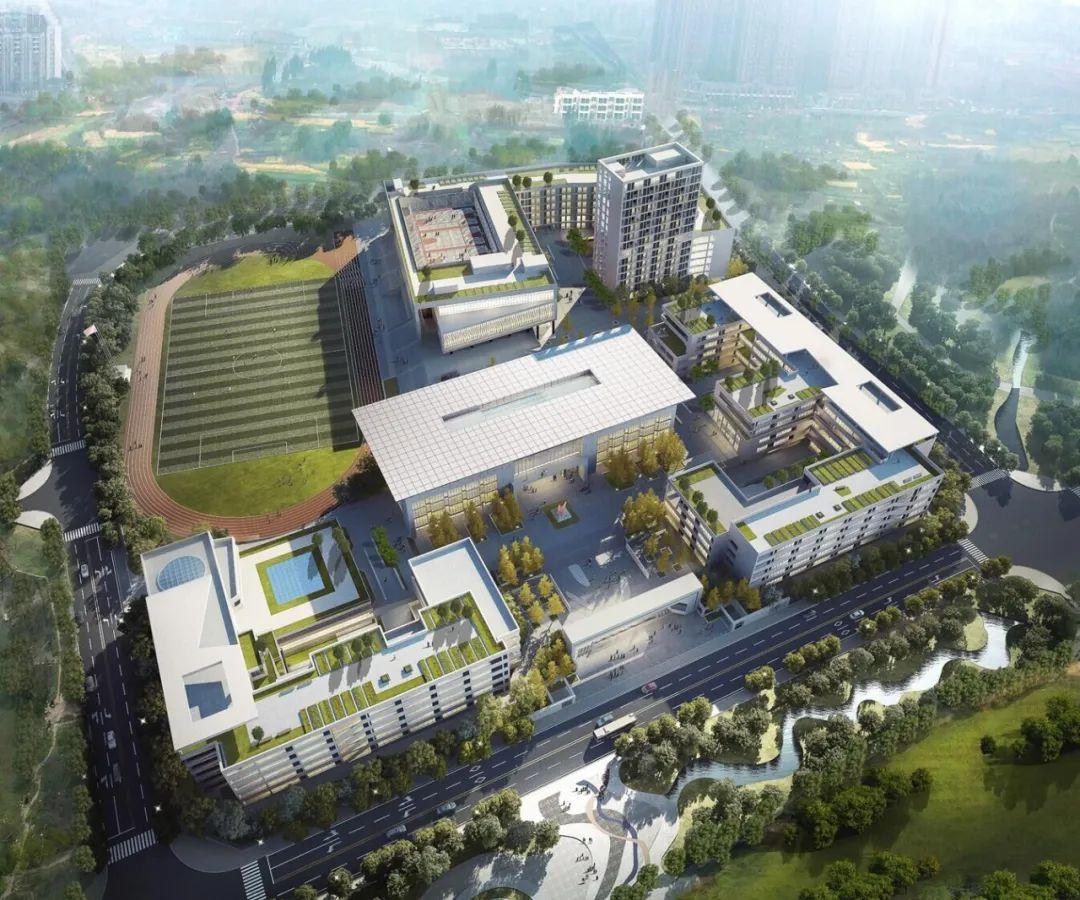 成都新增75所优质学校位置,成都新增高中