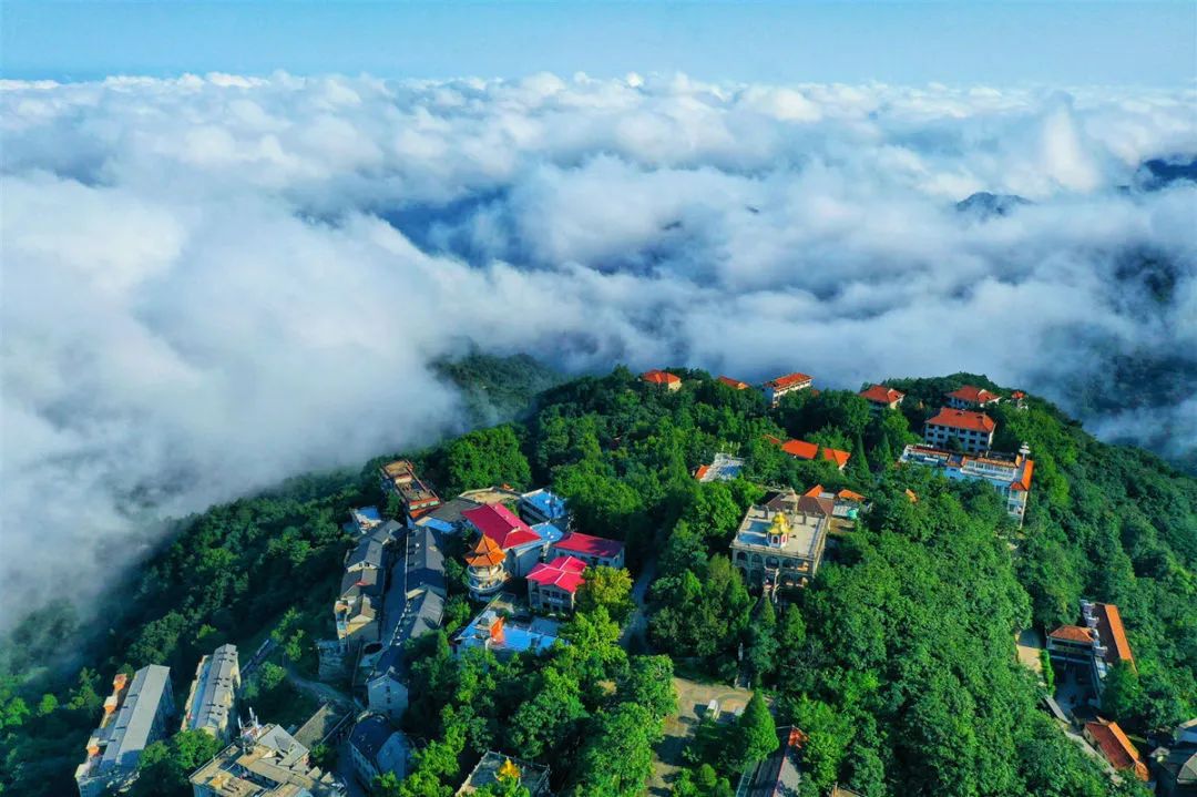 信阳十大旅游乡村,信阳周边乡村旅游景点推荐