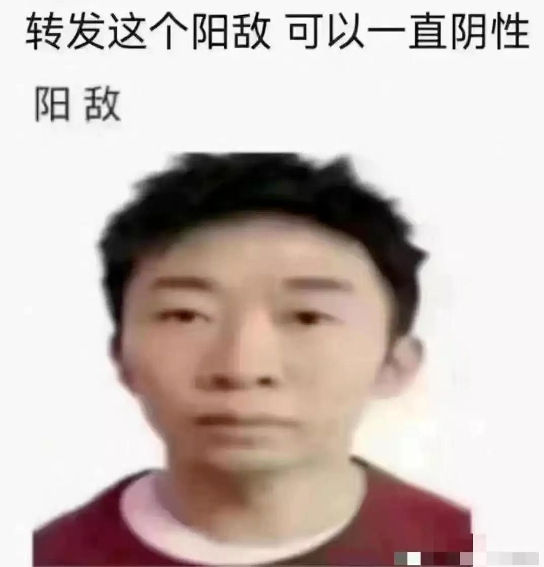 杨迪是真的表情包,杨迪表情包汇总