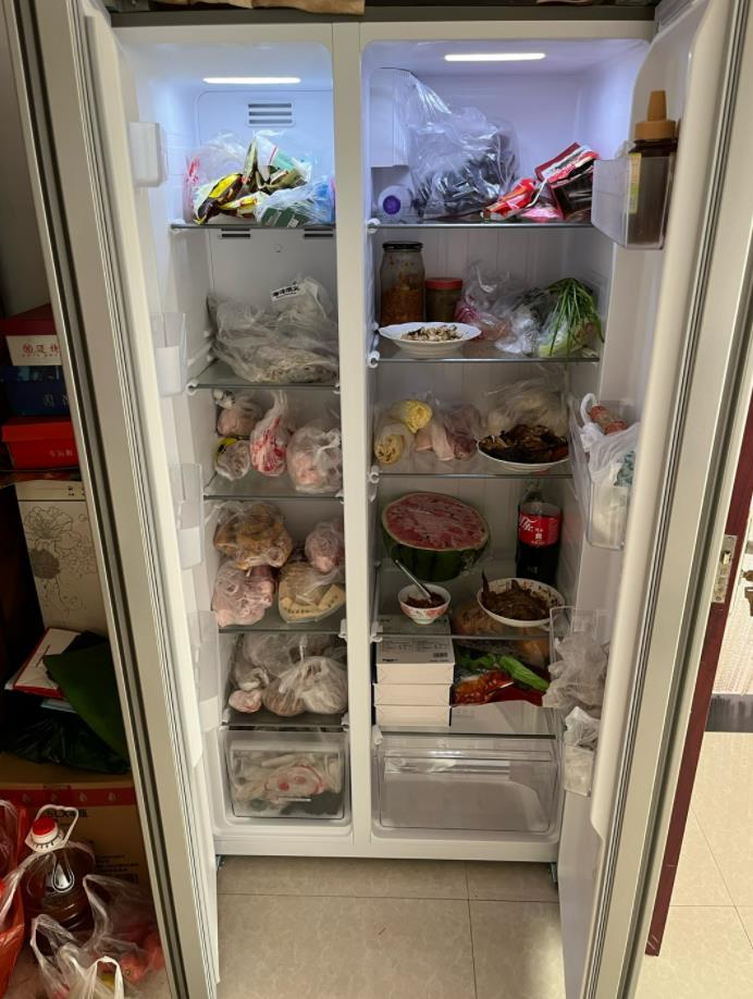 冰箱什么品牌好排名榜,冰箱什么品牌最好前十名