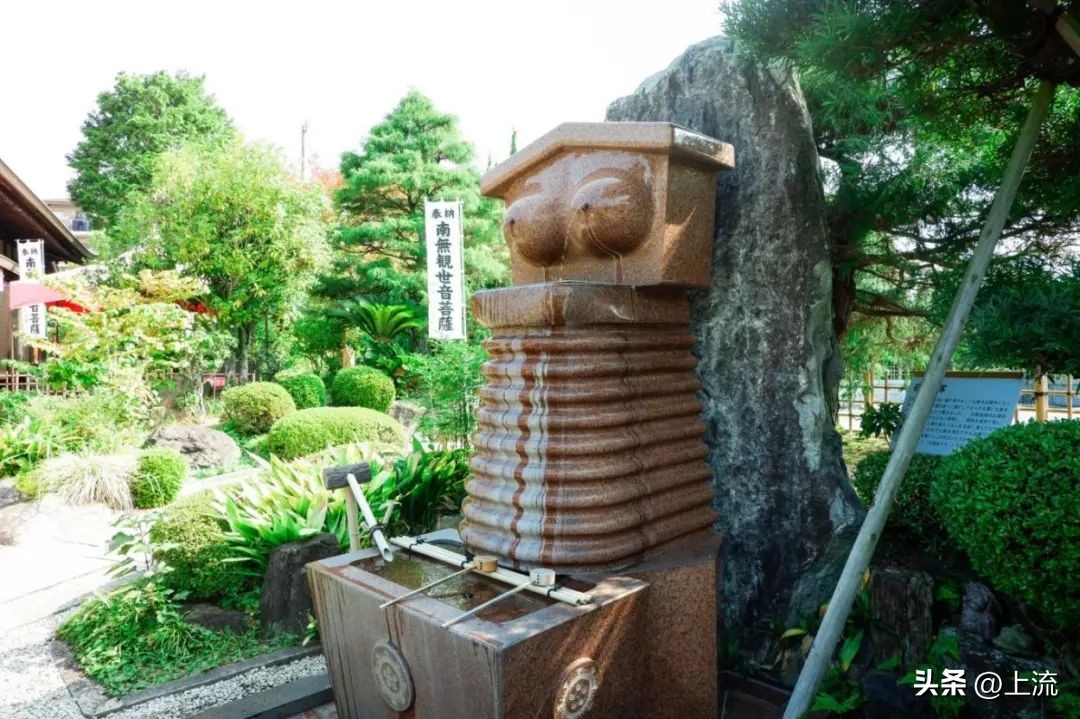 澳洲公袋鼠,袋鼠蛋蛋纪念品