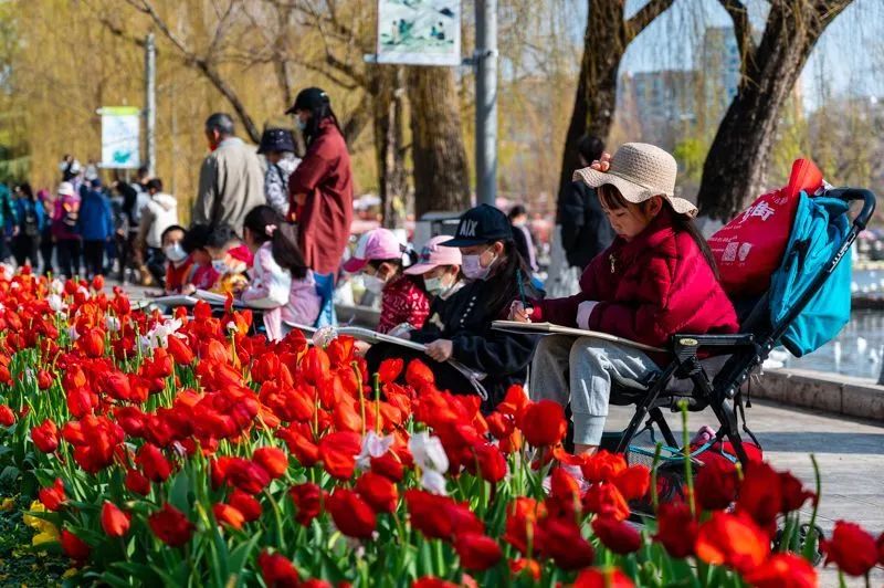 迈开脚步看风景别辜负昆明好风光,带你看云南昆明美景