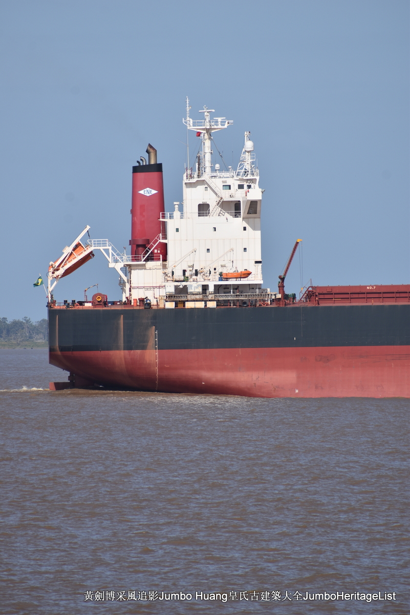 第5047回：消失的亚马逊文明，流失的林下聚居地