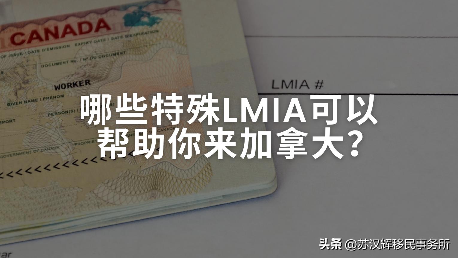 看看这些特殊LMIA有适合你的吗？