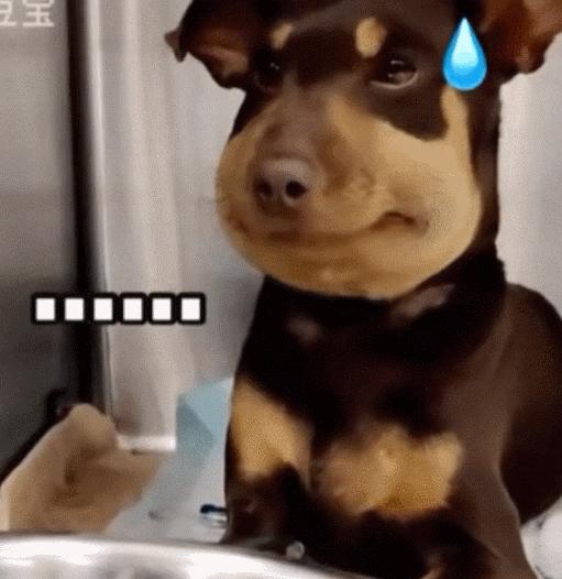 一派中签后，海淀妈妈总结了四条填志愿的秘籍