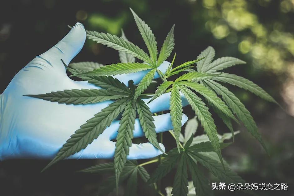 不确定性成功,不确定性风险