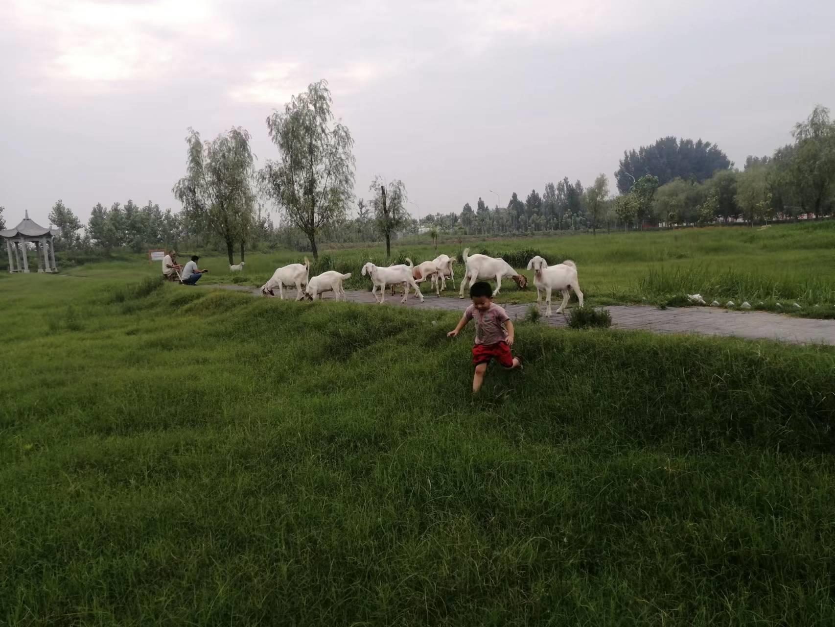 孩子能用手机打游戏吗,小孩看手机打游戏会怎么样