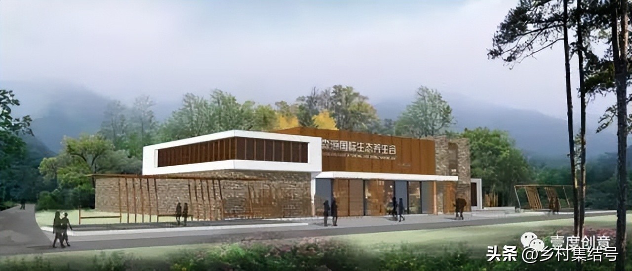 森林康养产业新模式,全域森林康养