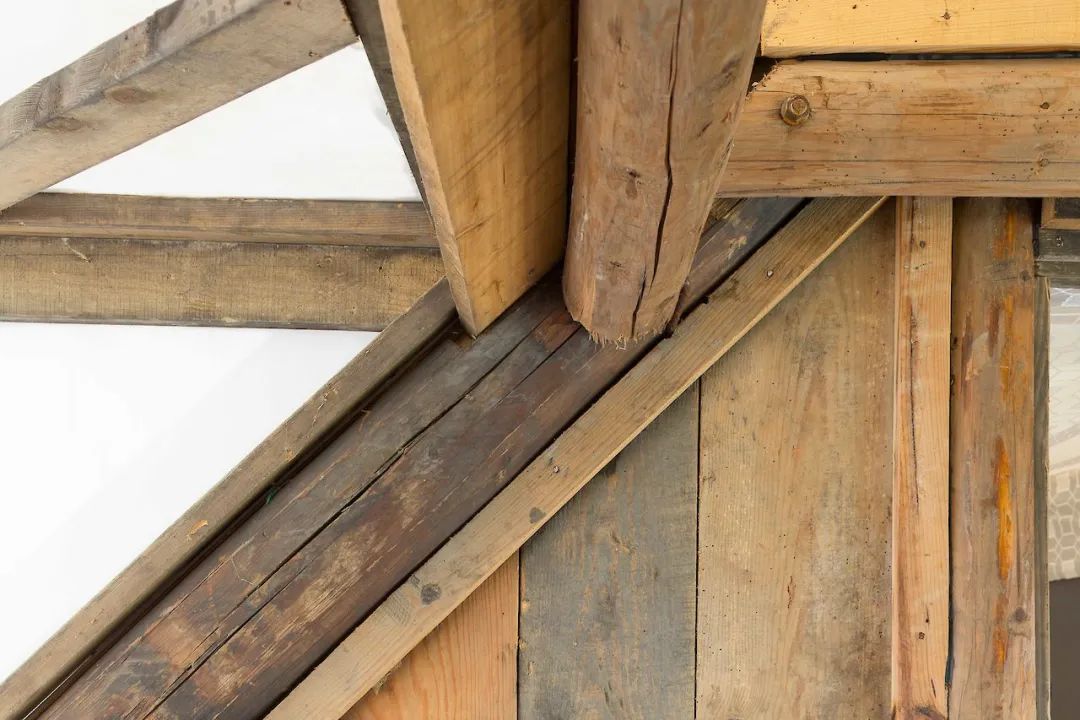 香港长大，留学英国荷兰，Foster工作回国创业，用可持续逻辑设计