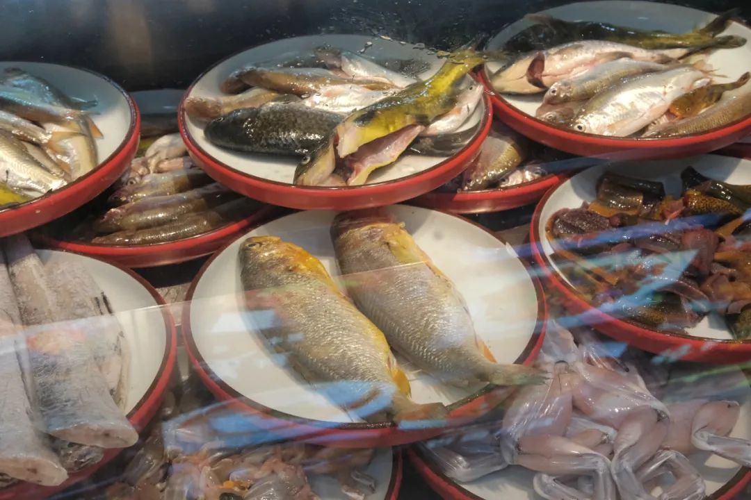 杭州冬日旅游自驾,杭州周边避暑两日自驾游攻略