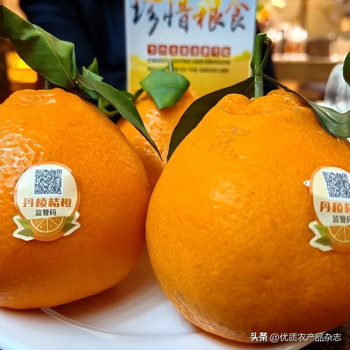 眉山春橘为什么行？