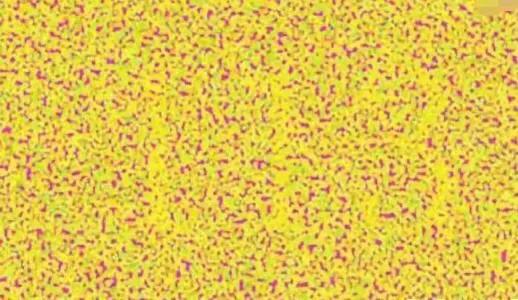 色盲眼中的世界,色盲眼镜专卖