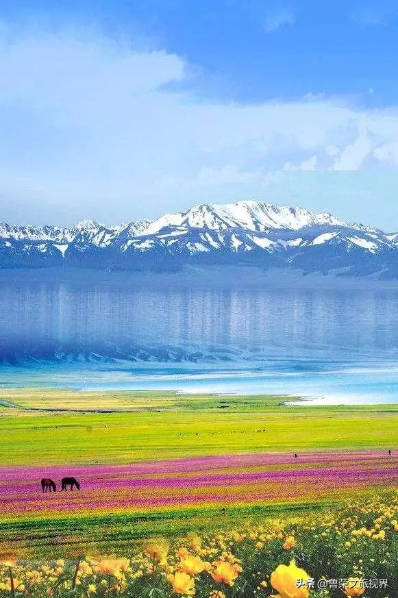 大美新疆的风景有哪些,大美新疆北疆美