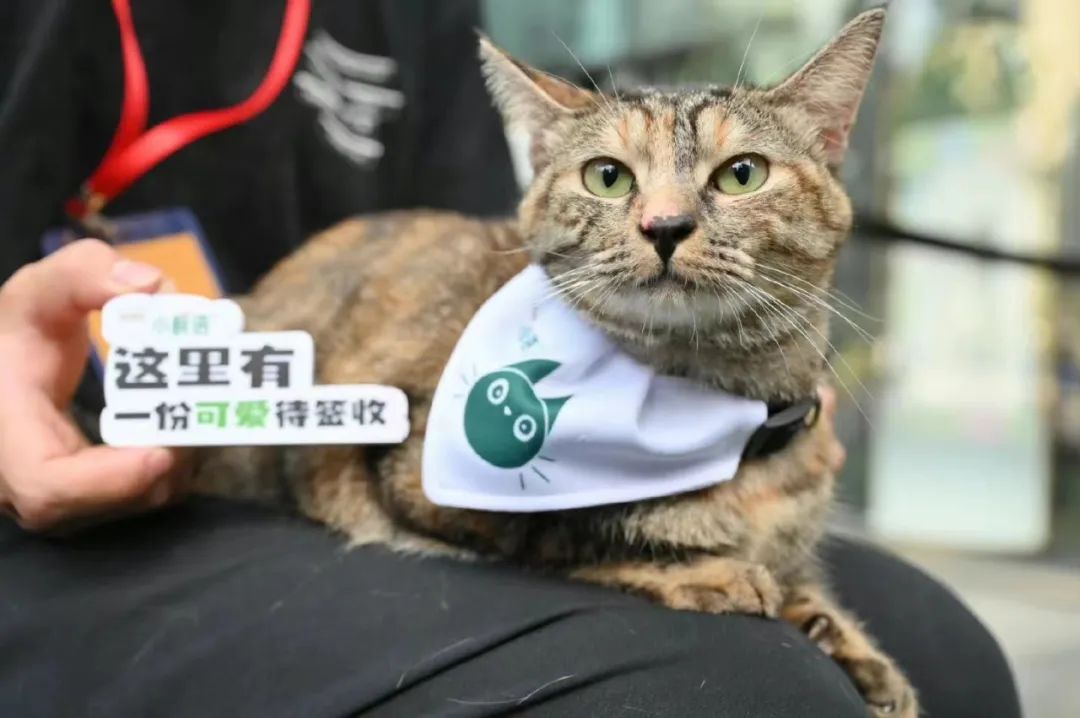 每日小鲜语和悦鲜活,每日鲜小鲜语低脂