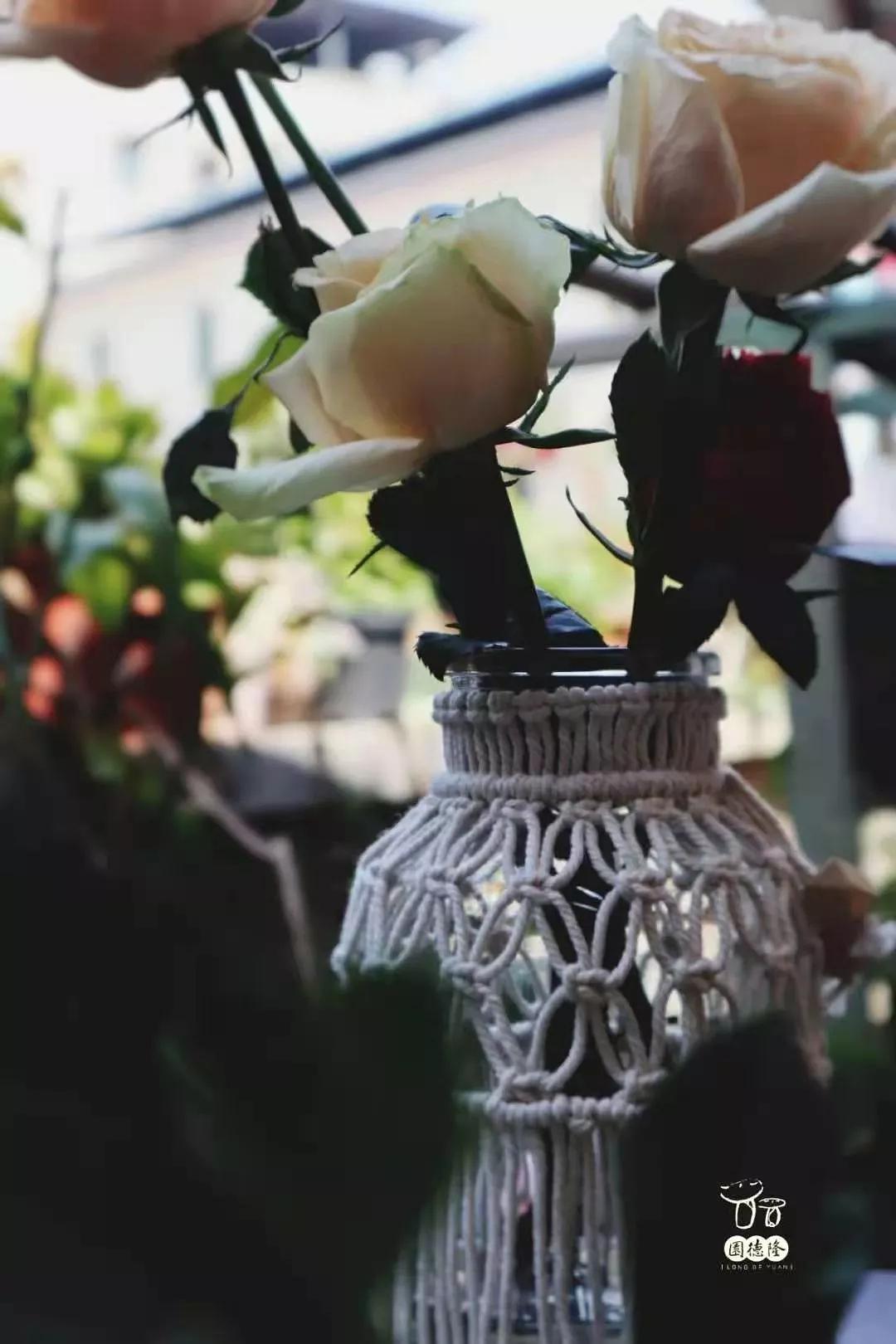 隆德园生活美学在冬日里编织一份美好