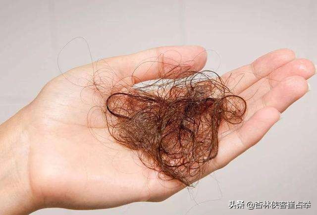 脱发白发血虚血热,脱发是血虚引起的还是血热引起的