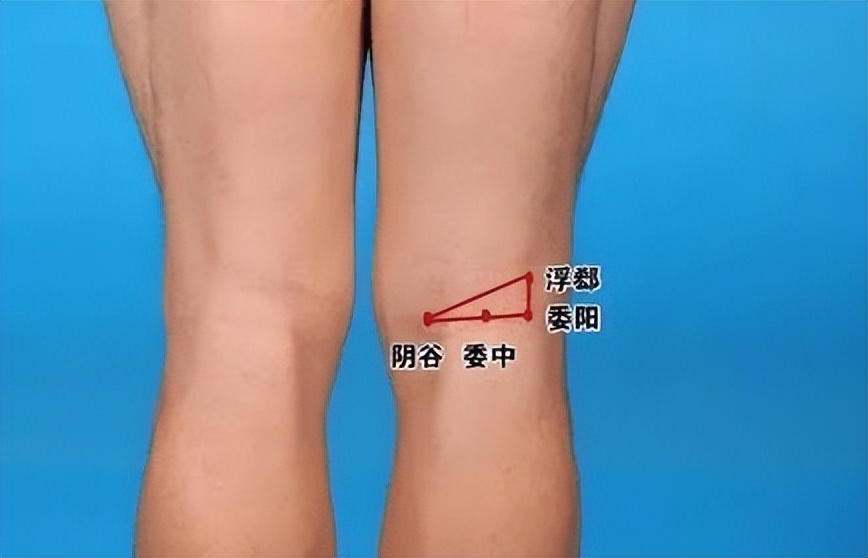 这个姿势躺3分钟瘦肚子,什么动作使全身气血运行快速