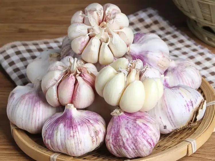 中国国家地理标志怎么申请,中国国家地理标志标识